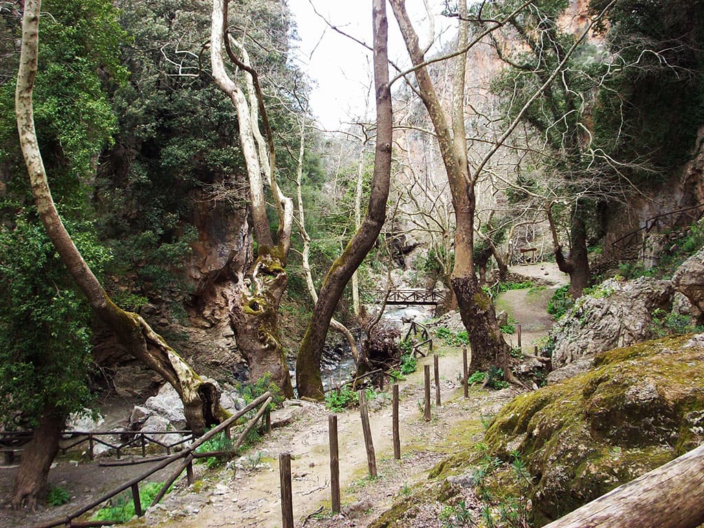 Agios Antonios-Schlucht gallery 3